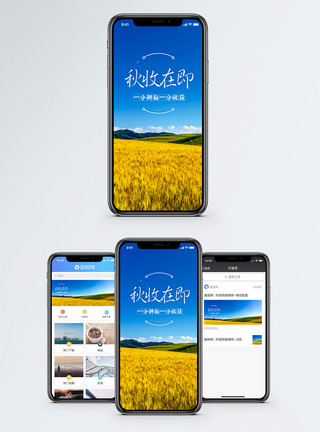 金黄的田野秋收手机海报配图模板