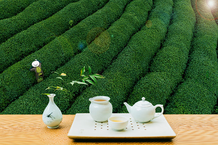 采茶与品茶茶壶高清图片素材