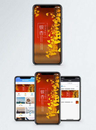 银杏手机海报配图模板