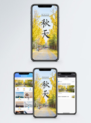 银杏树秋天手机海报配图模板