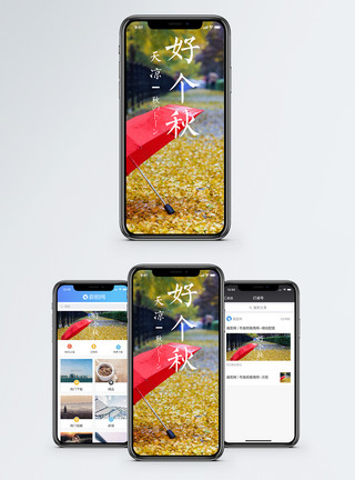 红天天凉好个秋手机海报配图模板