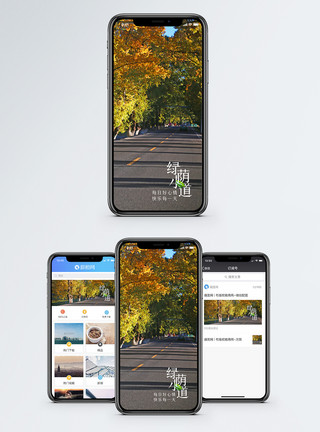 秋季道路绿荫小道手机海报配图模板