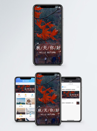 双11海报秋天手机海报配图模板