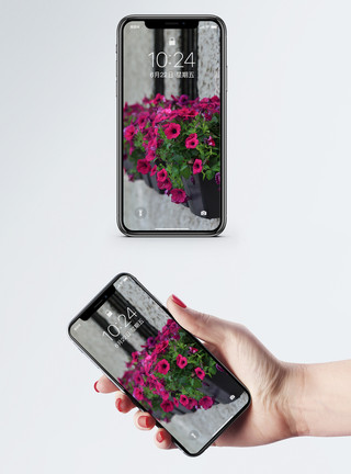 植物粉鲜花街道手机壁纸模板