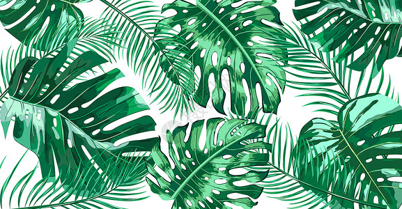 植物系背景墙热带植物背景插画插画