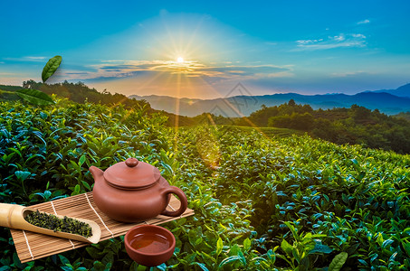 纯天然风景区茶文化设计图片