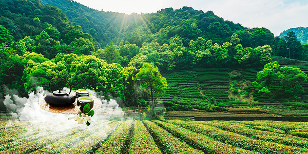纯天然风景区茶文化设计图片