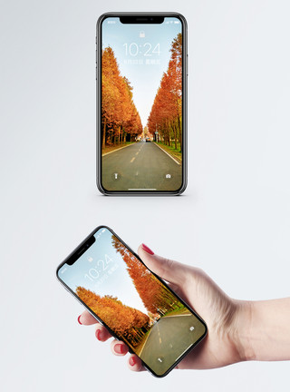 秋天的公路城市秋景手机壁纸模板
