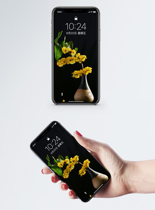 花卉植物花瓶桂花手机壁纸模板