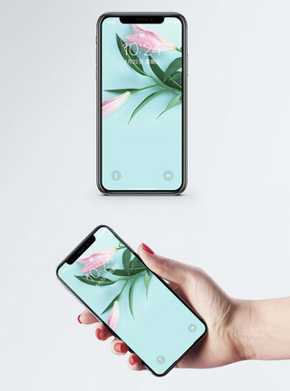 仿真清新百合花小清新手机壁纸模板