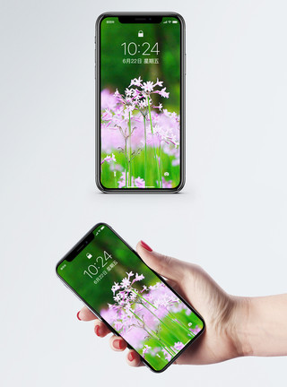 小清新花园风景花卉手机壁纸模板