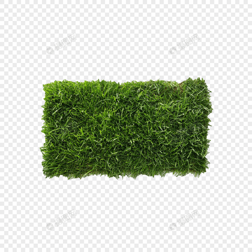 绿色草皮图片
