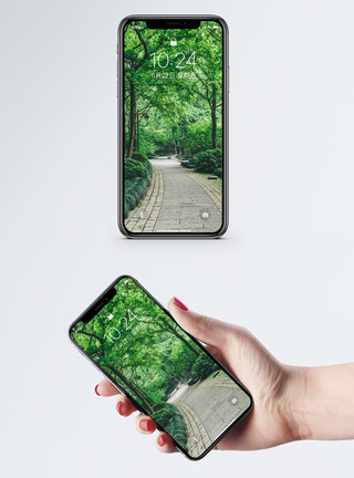 草地和树木植物园手机壁纸模板
