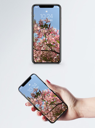 桃树素材阳春三月手机壁纸模板