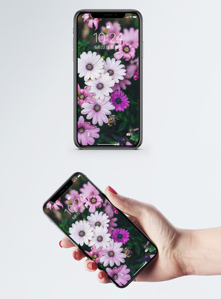 简笔画花朵花草植物手机壁纸模板
