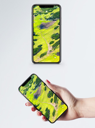 绿色松树松树手机壁纸模板