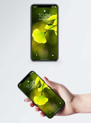 活力植物绿色银杏叶手机壁纸模板