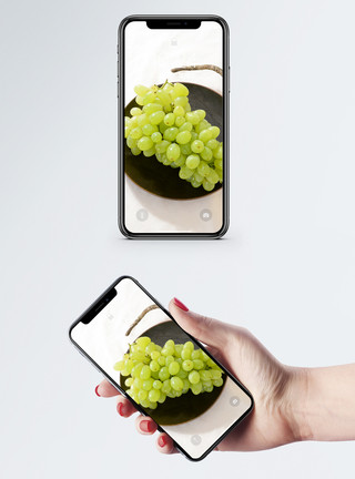 新鲜青葡萄绿葡萄手机壁纸模板