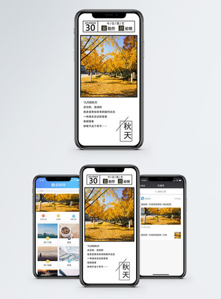 小路背景你好秋天手机海报配图模板
