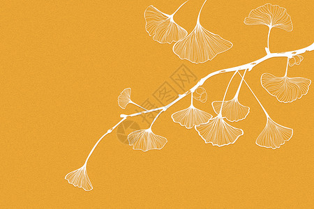 秋の银杏银杏叶元素高清图片