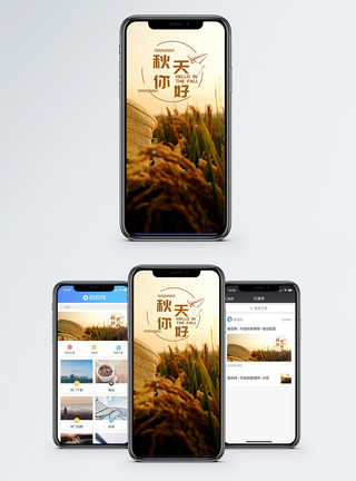 双11海报秋天手机海报配图模板