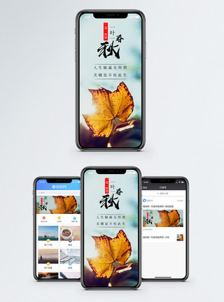 叶片背景一叶一春秋手机海报配图模板