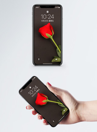 花卉留白背景红色玫瑰手机壁纸模板