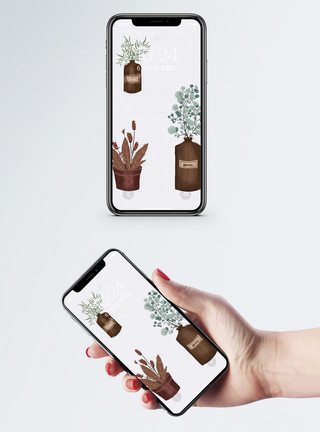 高清背景素材图ins风植物盆栽手机壁纸模板