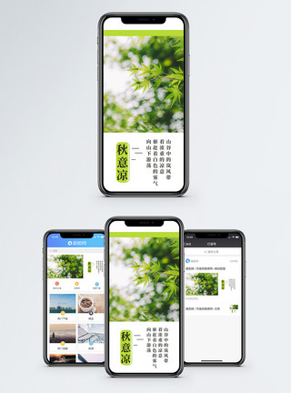 绿色枫叶秋凉手机海报配图模板