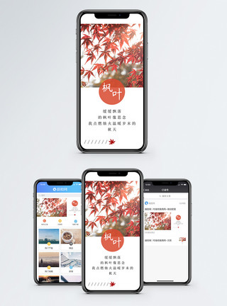 枫叶秋天手机海报配图模板