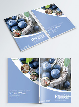 新鲜水果食材蓝莓水果画册封面模板