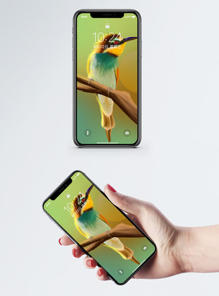 大型鸟类翠鸟手机壁纸模板