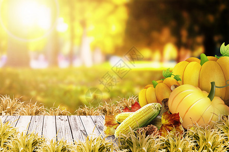 玉米段秋天设计图片