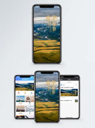 田野 丰收丰收季节手机海报配图模板