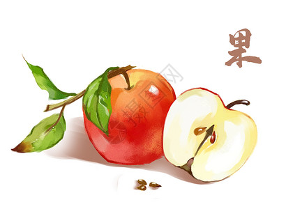 红色李子苹果插画