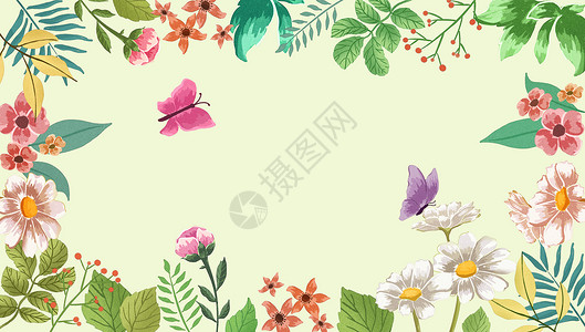 清新花卉植被插画背景图片