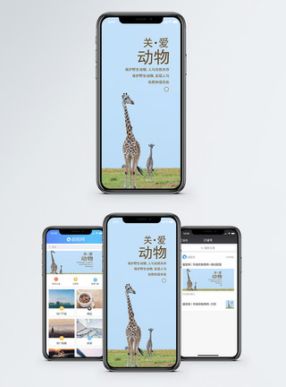 草系动物关爱动物手机海报配图模板