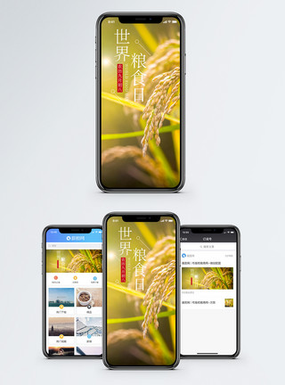 世界美食世界粮食日手机海报配图模板