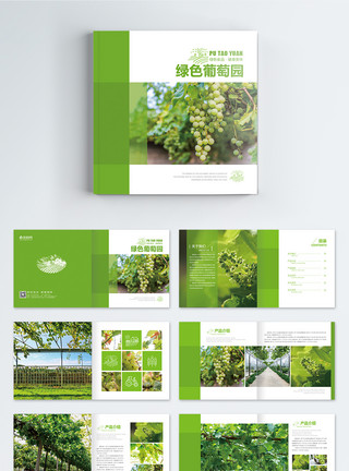 德国葡萄园绿色葡萄园画册整套模板