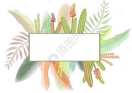 卡通水彩标签花卉植物边框插画