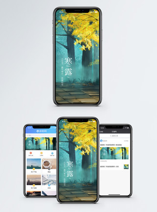 银杏寒露节气手机海报模板