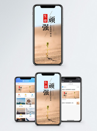 努力坚强顽强的生命手机海报配图模板