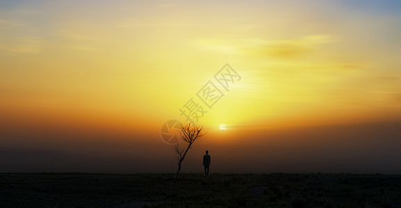 草原上孤独树夕阳下的守望设计图片