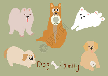 不同品种的宠物狗宠物狗插画