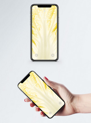 白菜卡通素材蔬菜手机壁纸模板