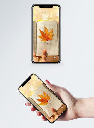 秋天枫叶手机壁纸模板