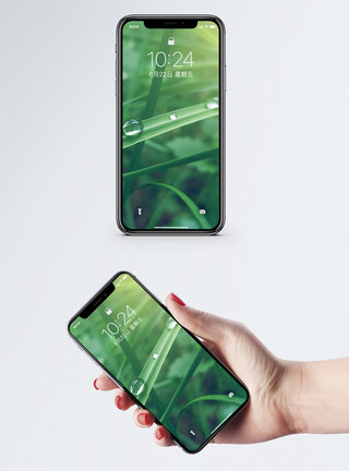 绿色植物桌面绿色植物手机壁纸模板