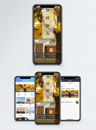 银杏树你好秋天手机海报配图模板