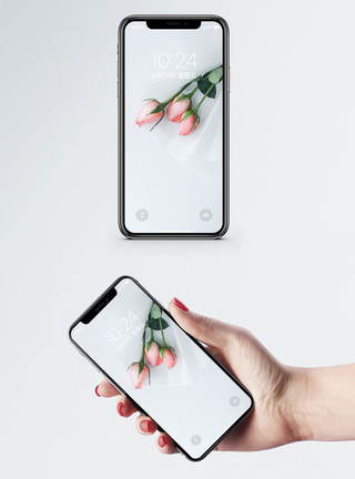 玫瑰花植物玫瑰花手机壁纸模板