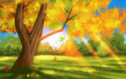 秋分阳光树林插画高清图片